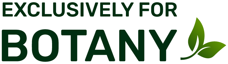 Arunai Academy