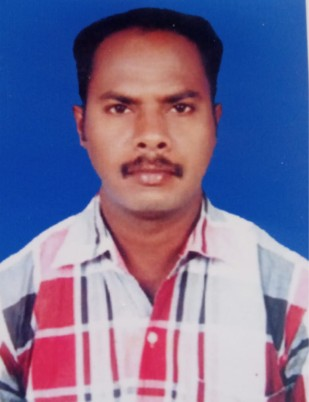 Elavarasan R