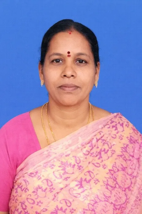 Sarathamani K